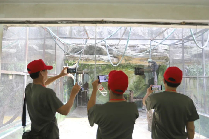 游客在南宁动物园文明观赏动物。记者罗竹君 摄