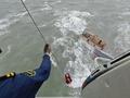 【广东】琼州海峡一渔船搁浅进水  船上3人安全获救