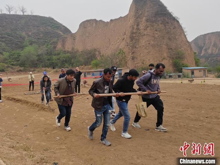 外国青年尝试使用中国传统农具，体验农耕乐趣。高雨晴 摄