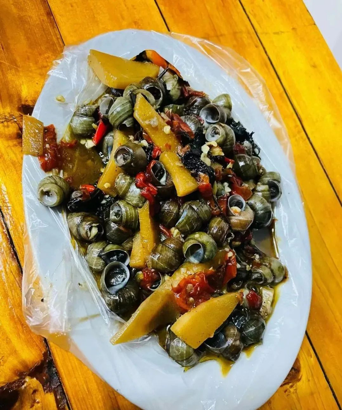 图源：雪地里的鱼