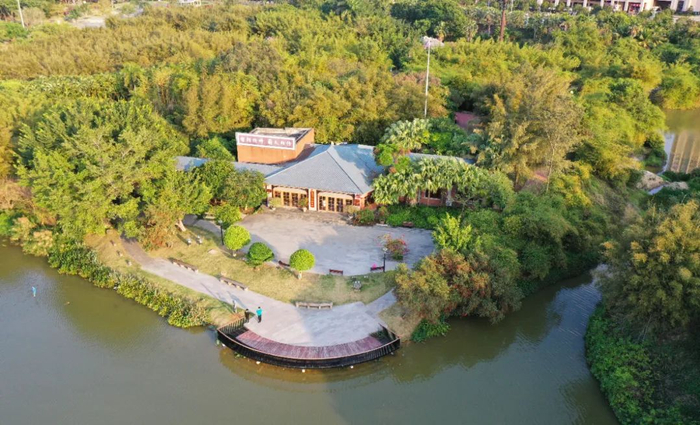 公园绿意盎然。杨证民 摄