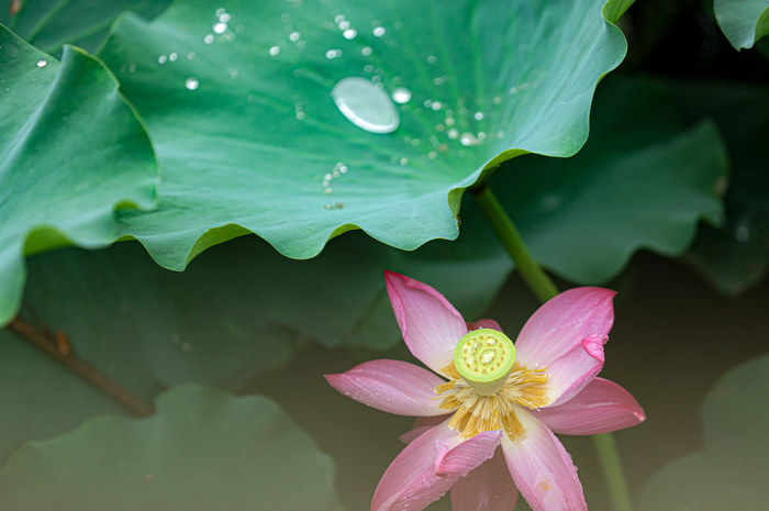 图片来源：津云