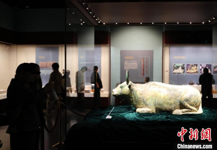 宁夏博物馆镇馆之宝鎏金铜牛。中新网记者 于晶 摄