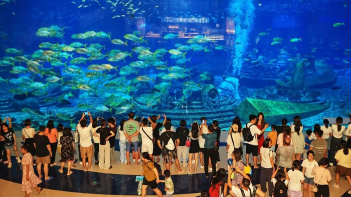 在三亚·亚特兰蒂斯，游客在全景玻璃前观赏各种海洋鱼类。陈聪聪 摄