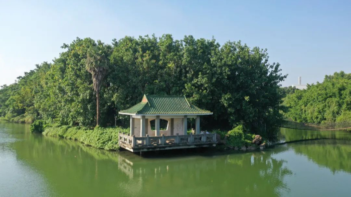 龙泉森林公园。郭龙碧 摄