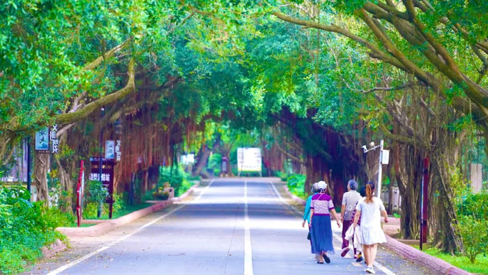 适合炎热的时候去乘凉。吴东俊 摄