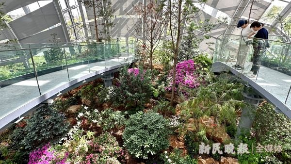 图说：亚高山植物馆中栽满杜鹃