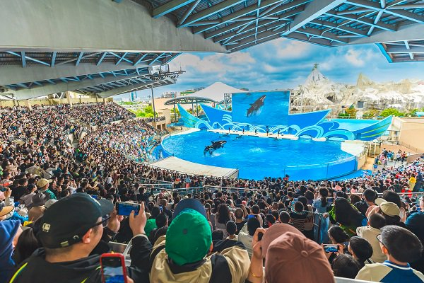 图说：假日文旅消费“多点开花” 采访对象供图（下同）