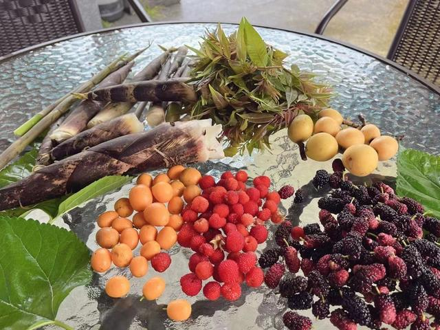 陈女士和家人爬山后的收获。 受访者供图。