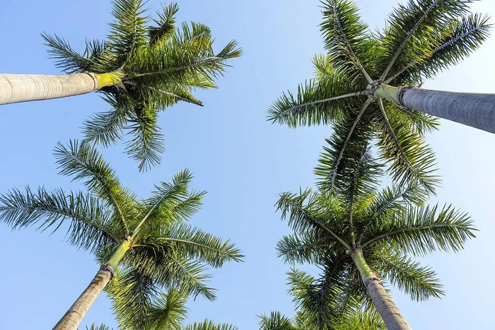 图源：视觉中国