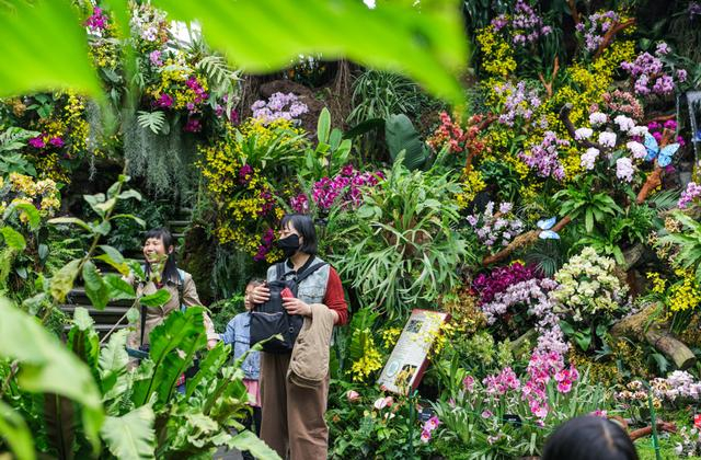 游客在辰山植物园温室内观赏兰花。 图片来源：辰山植物园