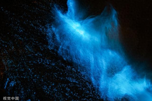 “蓝眼泪”景观