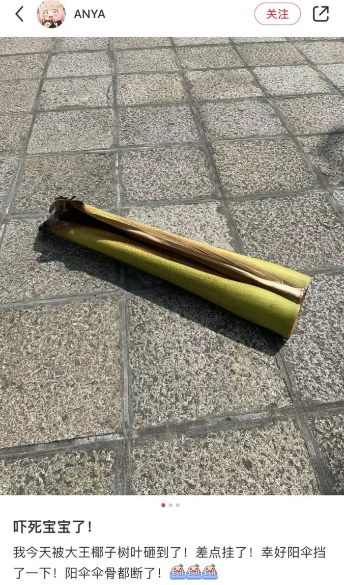 图源：小红书（已获授权）