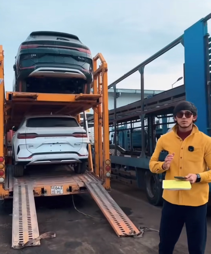 图源：Tik Tok 板车