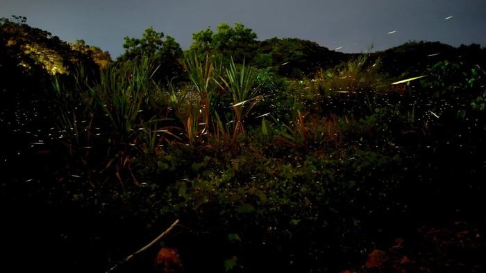 （图片来源：西涌国际暗夜社区微信公众号）