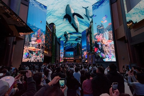 图说：酒店聚光道 采访对象供图（下同）