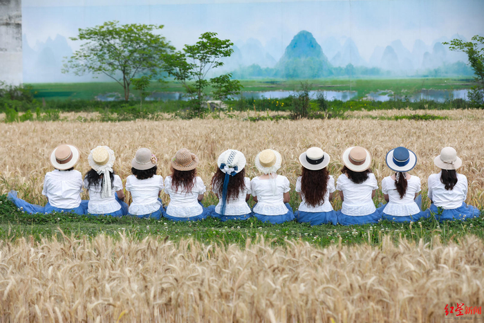 ▲凡朴农场田园摄影项目