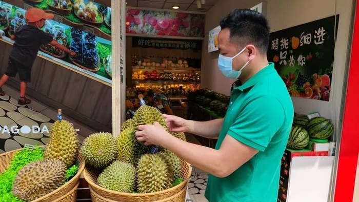 在广西南宁市的一家水果门店，店长乐武定正在检查刚刚到货的泰国榴莲。新华社记者杨驰 摄