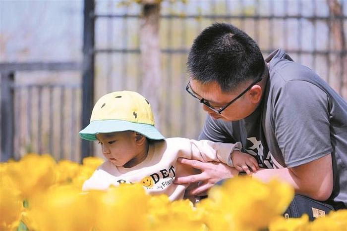 　　4月28日，在六师五家渠市第十九届郁金香文化旅游节现场，游客带着孩子欣赏郁金香。 兵团日报全媒体记者 邵明辉 摄