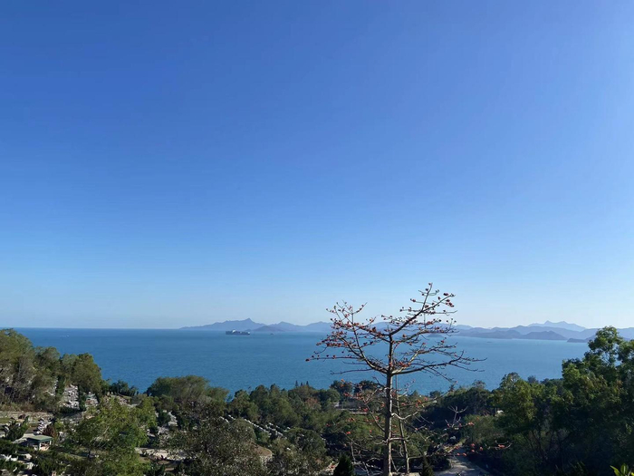 推开周慧的卧室窗户就可以看见海