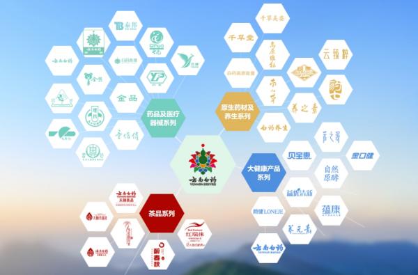 (云南白药公司现有产品及子品牌系列,图:云南白药官方网站)