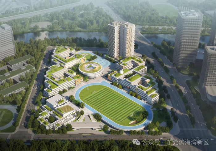 ▲滨海湾未来学校效果图 图源：东莞滨海湾新区官微