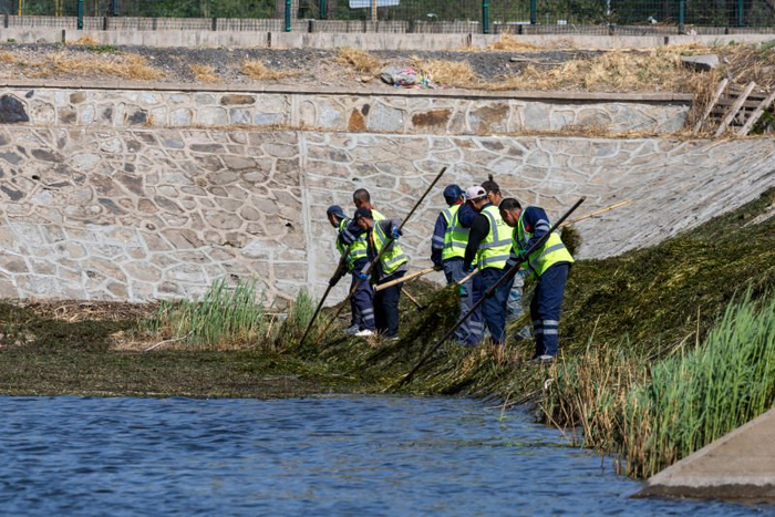 4月27日，工作人员对水草进行清理，切断食物链。  新京报记者 陶冉 摄