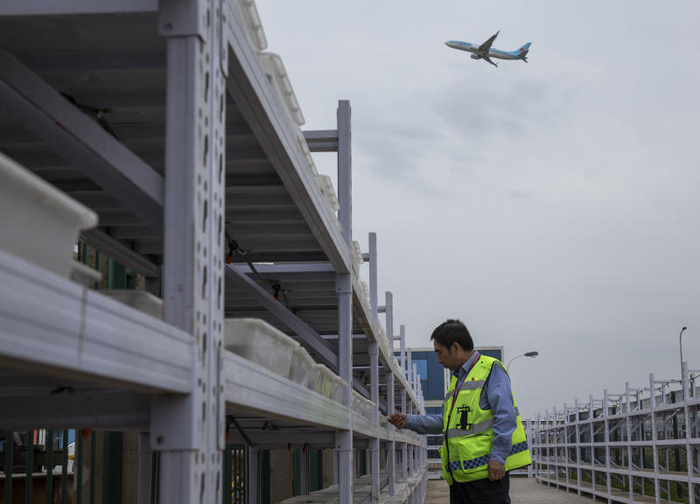 4月19日，隋国辉开辟的草种改良试验通道。  新京报记者 陶冉 摄