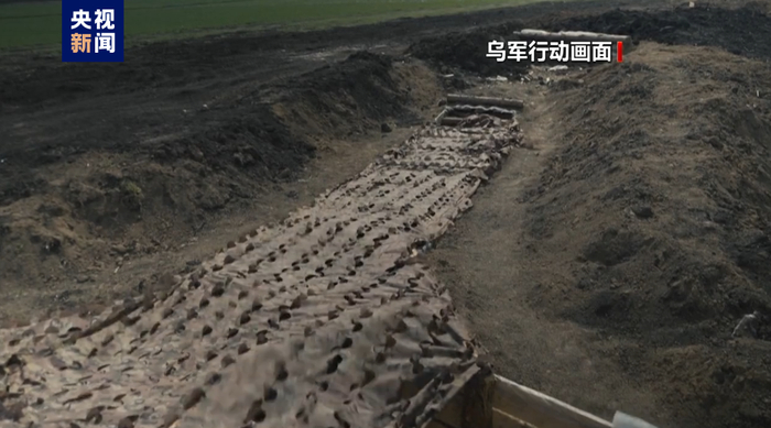 图片来源：央视新闻 （图文无关）