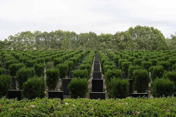 来源：视觉中国