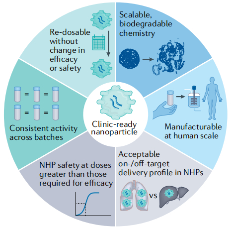 这些动物模型,为小核酸药物再添一场东风
