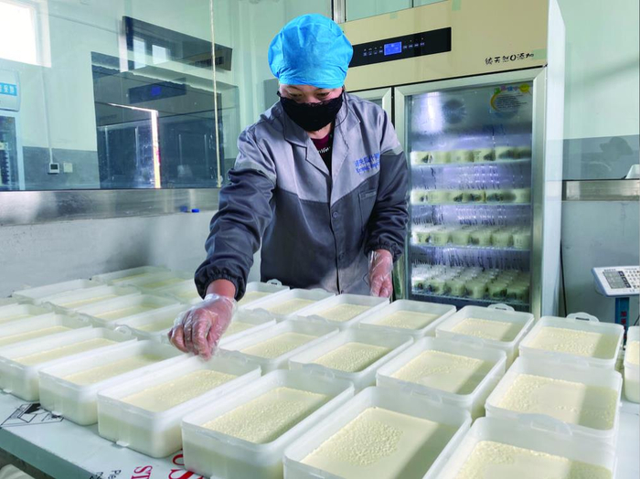 已经制作完成的酸奶。栾雨嘉 摄