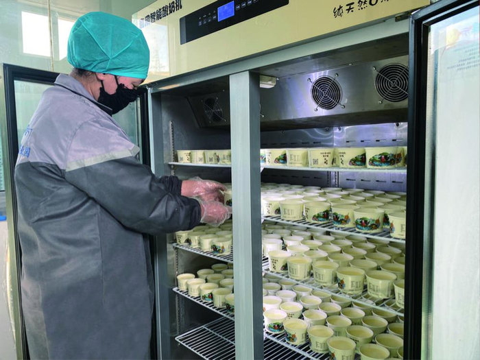 将酸奶放入酸奶机发酵。栾雨嘉 摄