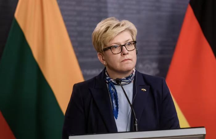 ▲立陶宛总理因格丽达·希莫尼特