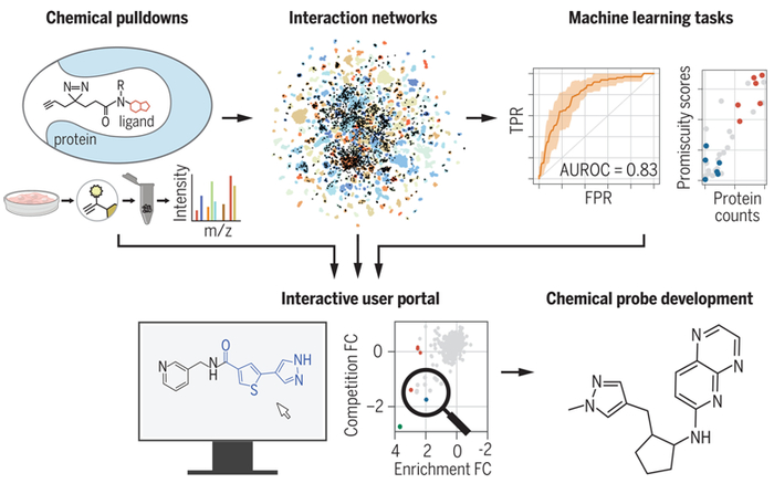 图片来自Science, 2024, doi:10.1126/science.adk5864