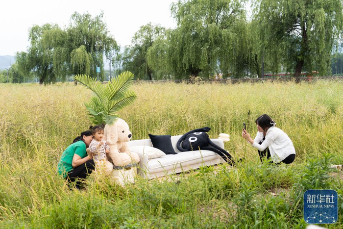 5月7日，顾客在潜山市南北咖啡馆室外区域拍照。新华社记者 赵金正 摄