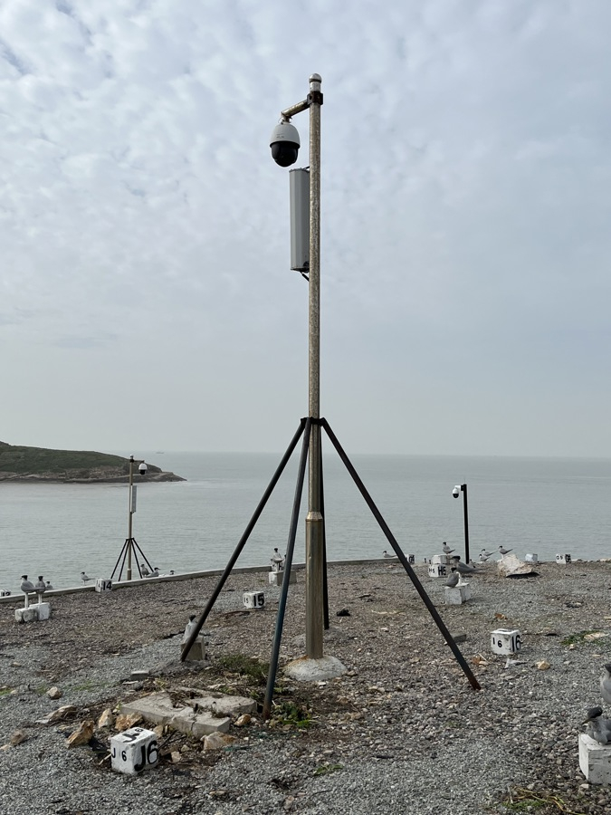 岛上的燕鸥招引场，刘畅 摄