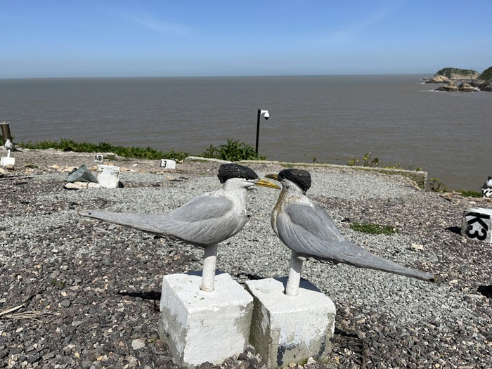 假鸟模型，刘畅 摄