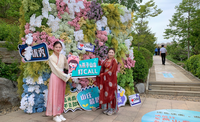 ▲ 宾客在花墙前拍照打卡