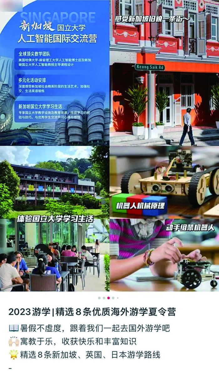     部分海外研学营项目介绍 网络图