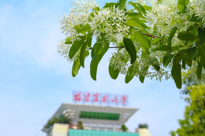 上了！福建农林大学！