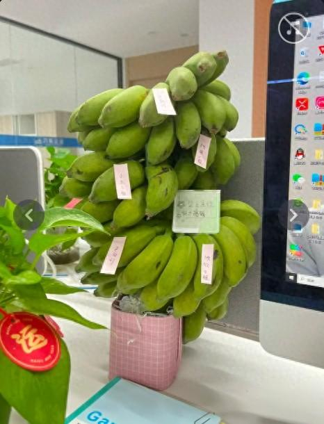 办公桌上的“蕉绿” 图源抖音@超级无敌大呲花