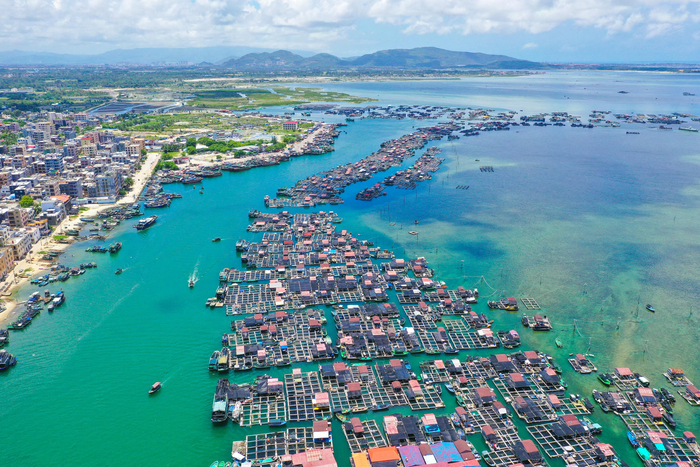 ▲舟楫相连的疍家渔排 图据IC photo