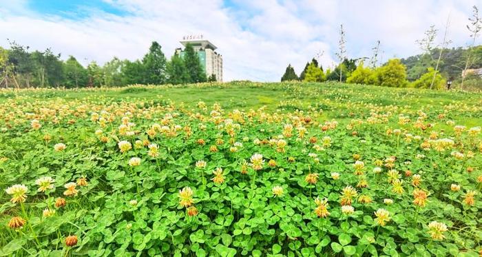 上了！福建农林大学！