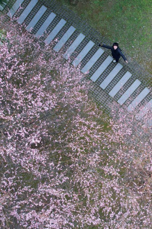 上了！福建农林大学！