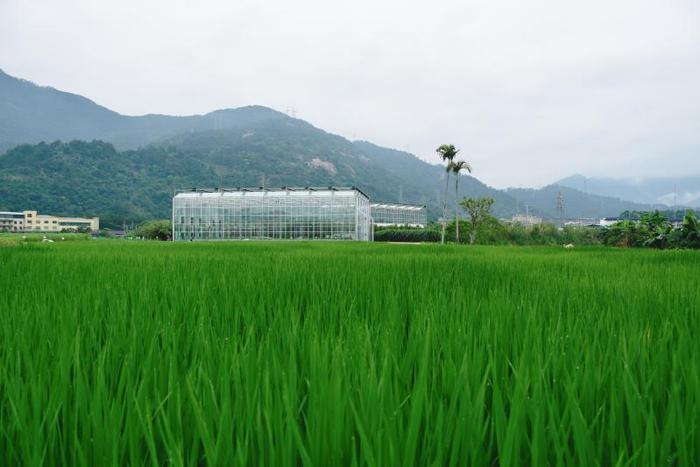 上了！福建农林大学！