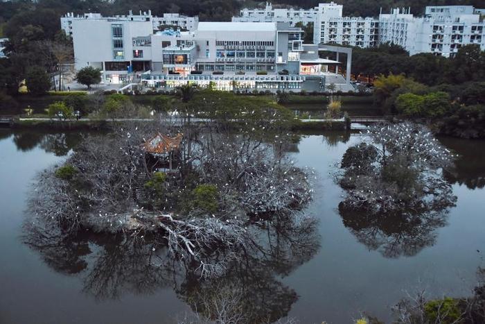 上了！福建农林大学！