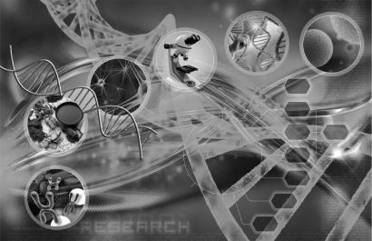 制图：金宝AI工作室