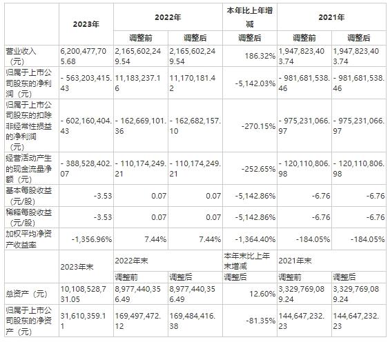 图片来源：年报截图