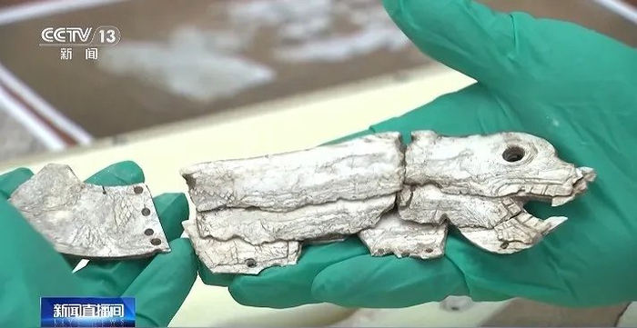 复原后的龙形蚌饰